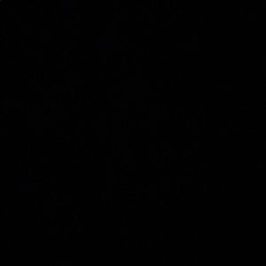 Meet your Posher, Tamia